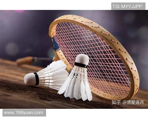 羽毛球盛宴：深入分析广州羽毛球队的竞技状态与未来展望